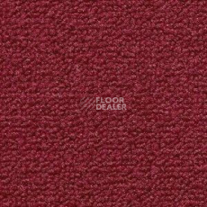 Ковролин Radici Trotter Granata 9480 фото 1 | FLOORDEALER